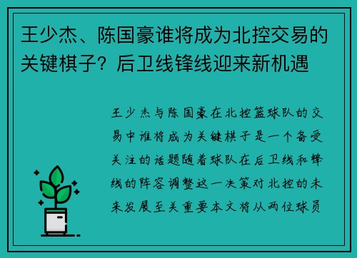王少杰、陈国豪谁将成为北控交易的关键棋子？后卫线锋线迎来新机遇