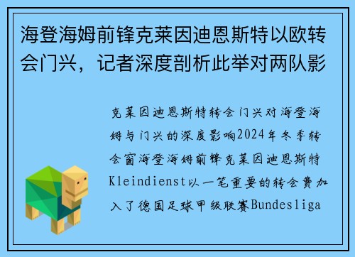 海登海姆前锋克莱因迪恩斯特以欧转会门兴，记者深度剖析此举对两队影响